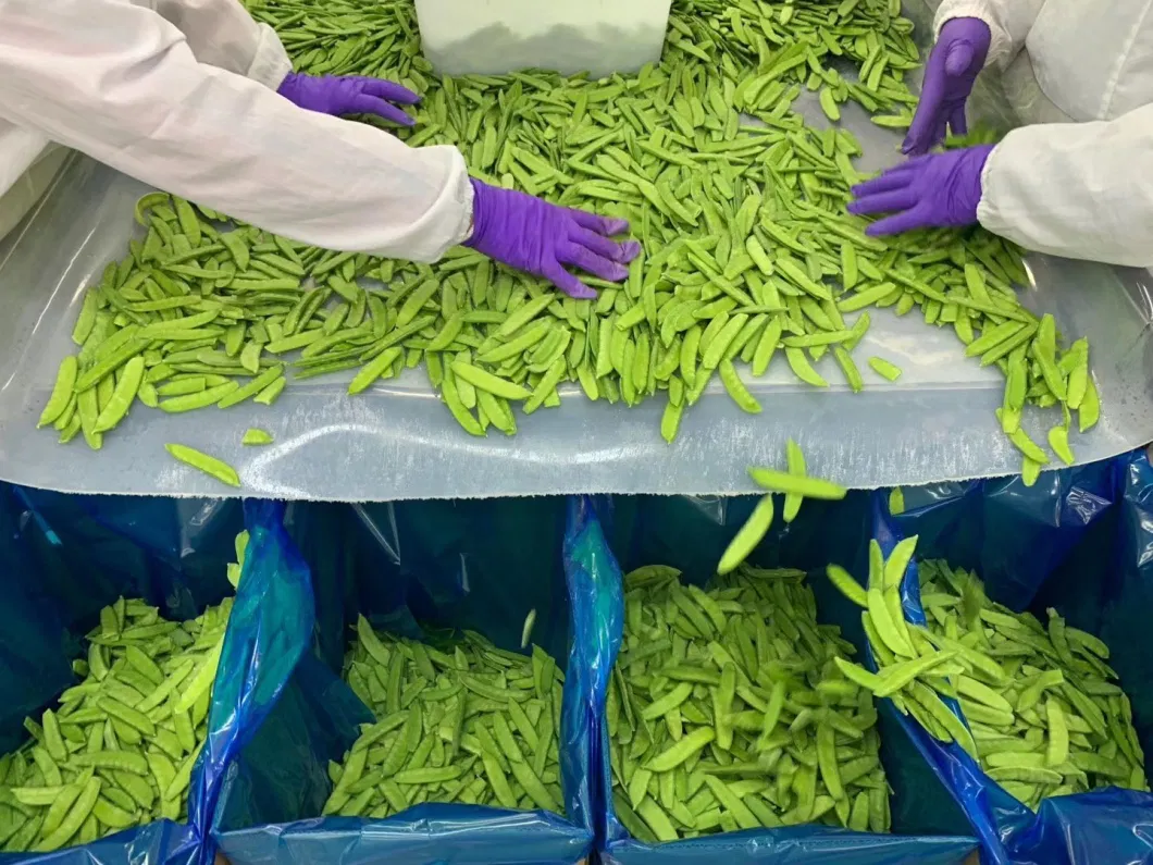 Canned Vegetable Frozen Pea Pods, Snow Peas Sugar Snap Peas