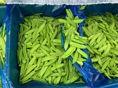 Verduras enlatadas Vainas de guisantes congeladas, guisantes tirabeques Guisantes dulces